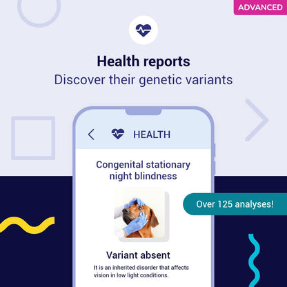 Advanced DNA test for dogs