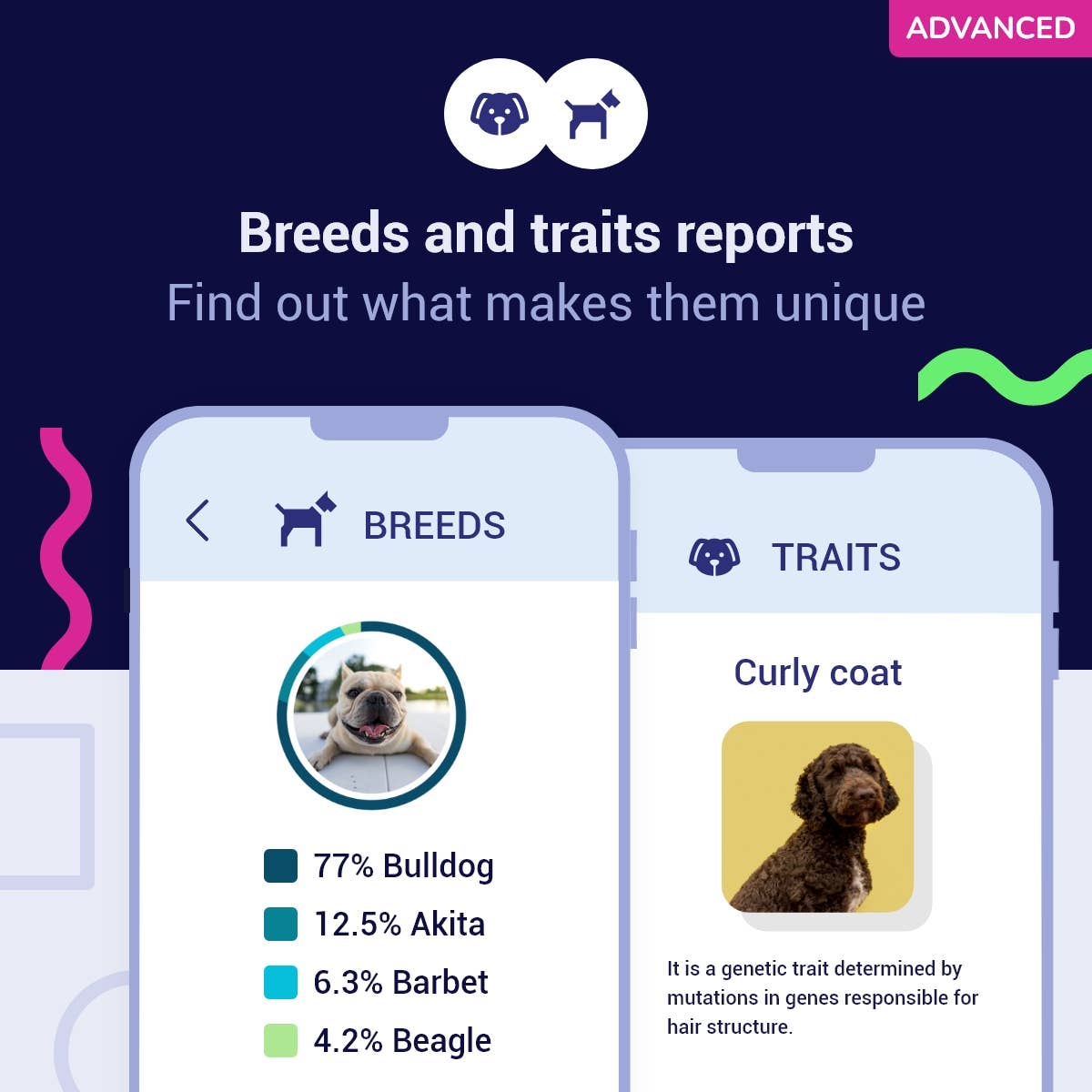 Advanced DNA test for dogs