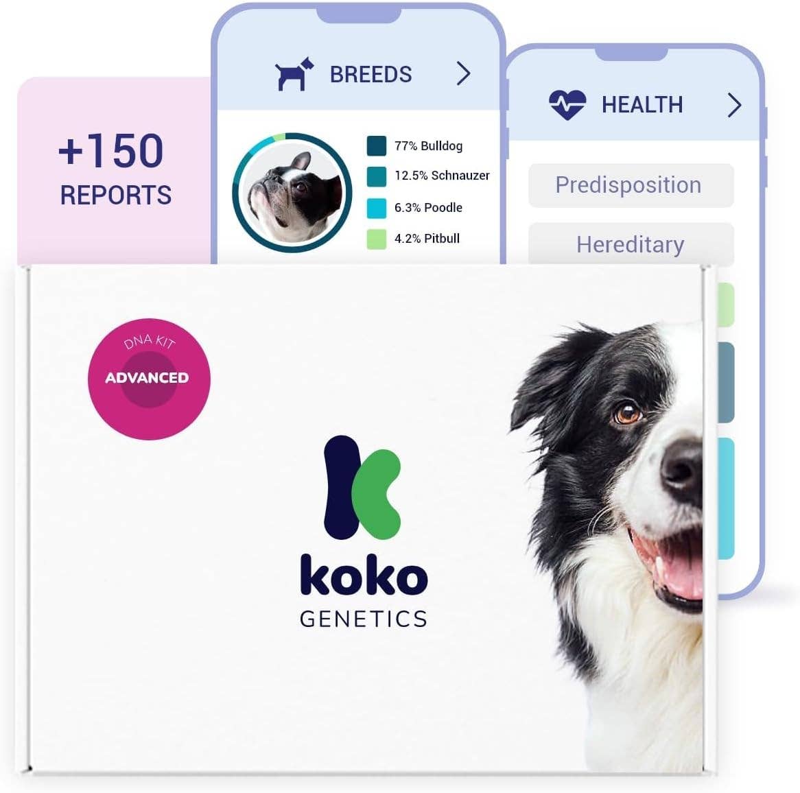 Advanced DNA test for dogs