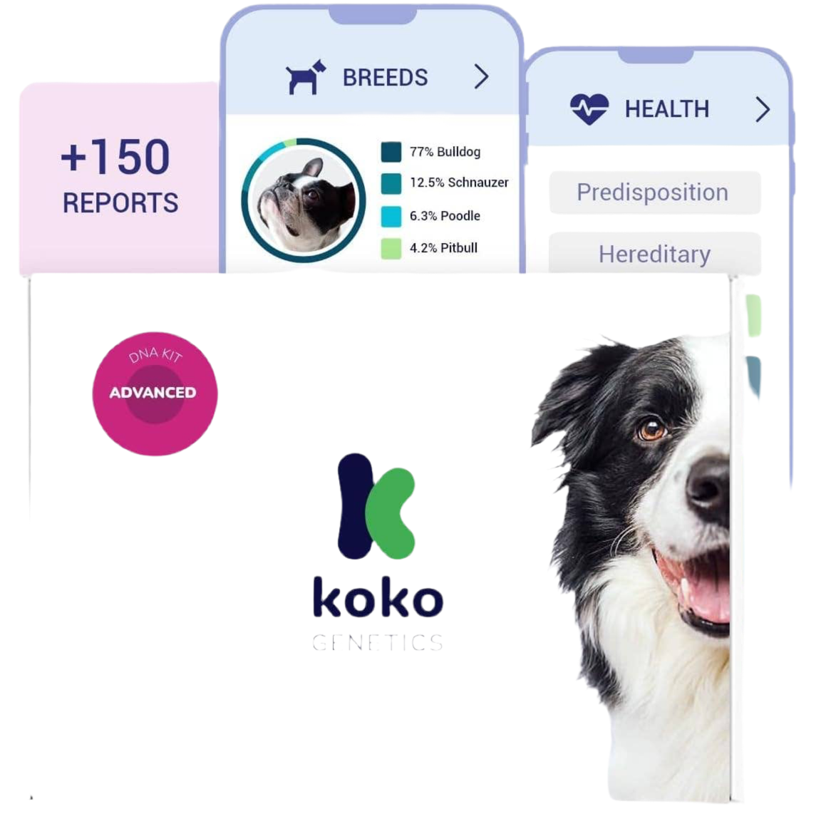 Advanced DNA test for dogs