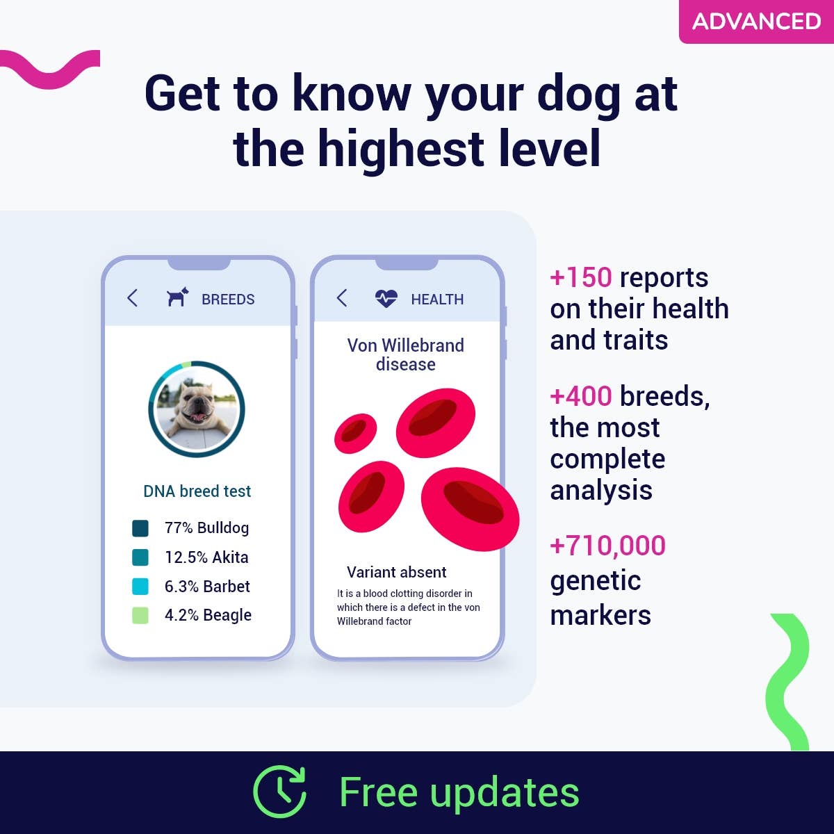 Advanced DNA test for dogs