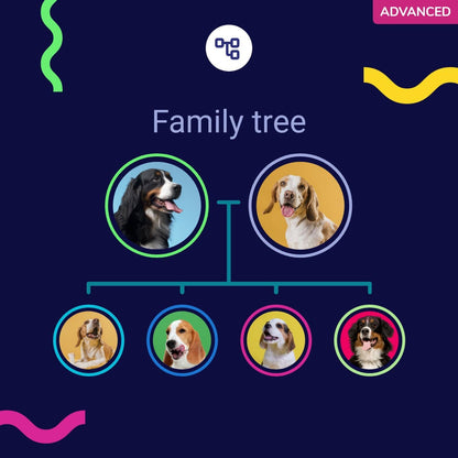 Advanced DNA test for dogs